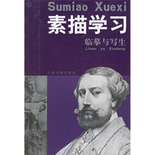 素描学习：临摹与写生