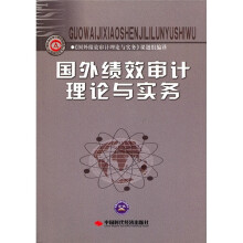 国外绩效审计理论与实务