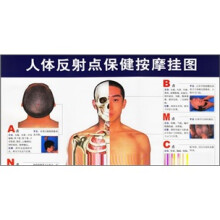 人体反射点保健按摩挂图（共2张）