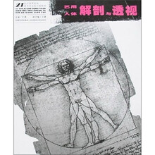 艺用人体解剖与透视