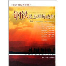 阳光少年励志名著书系：钢铁是怎样炼成的