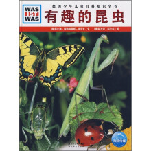 有趣的昆虫