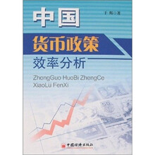 中国货币政策效率分析