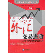 外汇交易进阶（第2版）