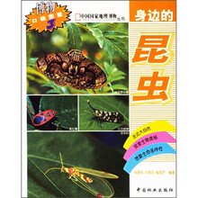 身边的昆虫