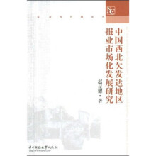 中国西北欠发达地区报业市场化发展研究