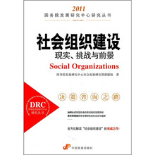 社会组织建设：现实、挑战与前景