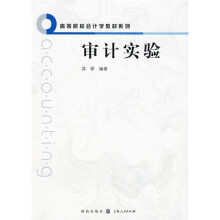 审计实验