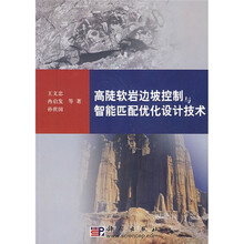 高陡软岩边坡控制与智能匹配优化设计技术