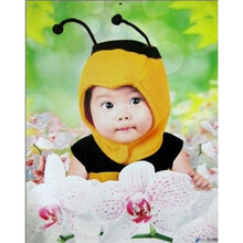 天使宝贝挂图5·蜜蜂宝宝：婴儿健康抚触操