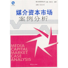 媒介资本市场案例分析