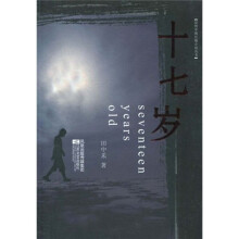 十七岁