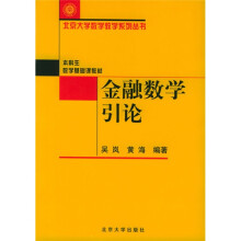 北京大学数学教学系列丛书·本科生数学基础课教材：金融数学引论