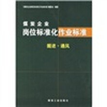 煤炭企业岗位标准化作业标准：掘进·通风