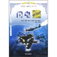 瀑布系列·少年历险故事：闪电猫