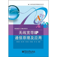 无线宽带IP通信原理及应用