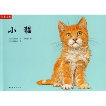 小猫