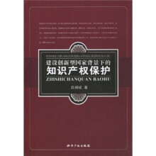 建设创新型国家背景下的知识产权保护