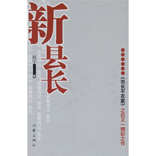 新县长