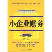 小企业账务(图解版)