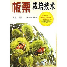 板栗栽培技术