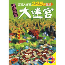 大迷宫:古迹寻宝(赠送大迷宫动画VCD光盘1张)