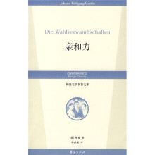 外国文学名著文库:亲和力