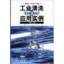 工业清洗及应用实例（第2版）