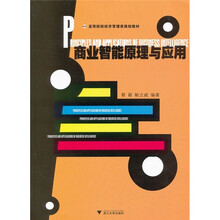 高等院校经济管理类规划教材：商业智能原理与应用