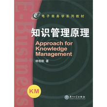 电子商务学系列教材：知识管理原理