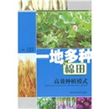 一地多种棉田高效种植模式