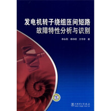 发电机转子绕组匝间短路故障特性分析与识别
