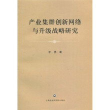 产业集群创新网络与升级战略研究