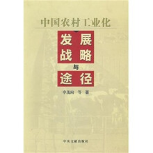 中国农村工业化发展战略与途径