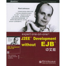 expert one-on-one J2EE Development without EJB（中文版）