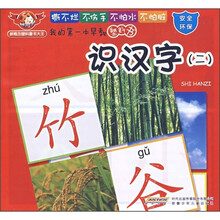 我的第一本早教塑料书：识汉字2