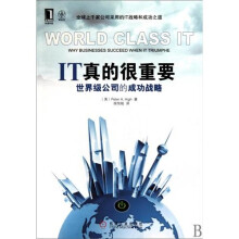 IT真的很重要:世界级公司的成功战略