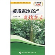 黄瓜露地高产栽培技术