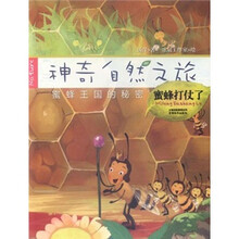 神奇自然之旅：蜜蜂打仗了