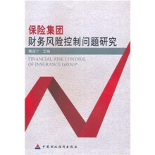 保险集团财务风险控制问题研究报告