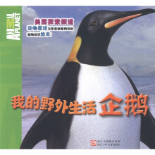 我的野外生活:企鹅