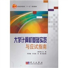 大学计算机基础实践与应试指南