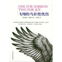 飞翔的鸟拒绝忧伤