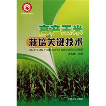 高产玉米栽培关键技术