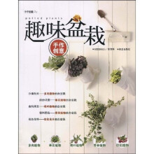 手作创意DIY:趣味盆栽