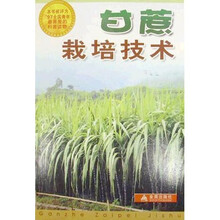 甘蔗栽培技术