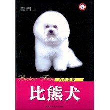 白色天使：比熊犬