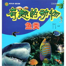 有趣的动物：鱼类