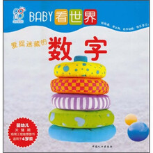 BABY看世界：爱捉迷藏的数字