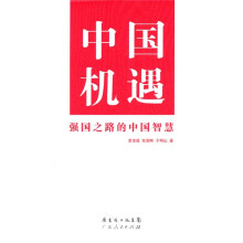 中国机遇：强国之路的中国智慧